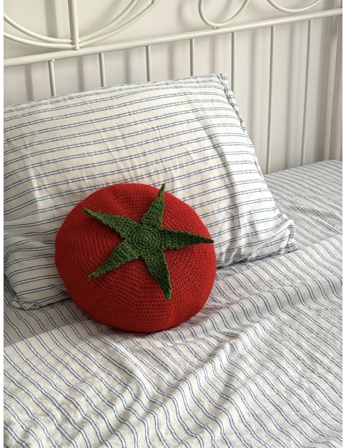 Crochet Pillow